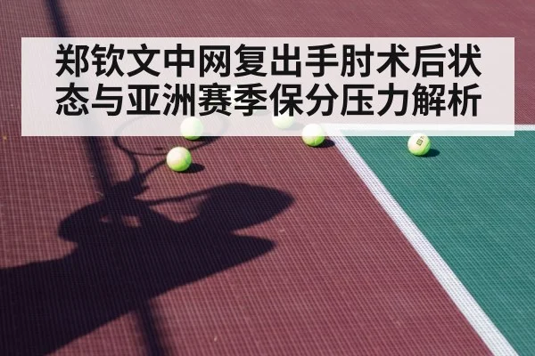 tennis hard court match play